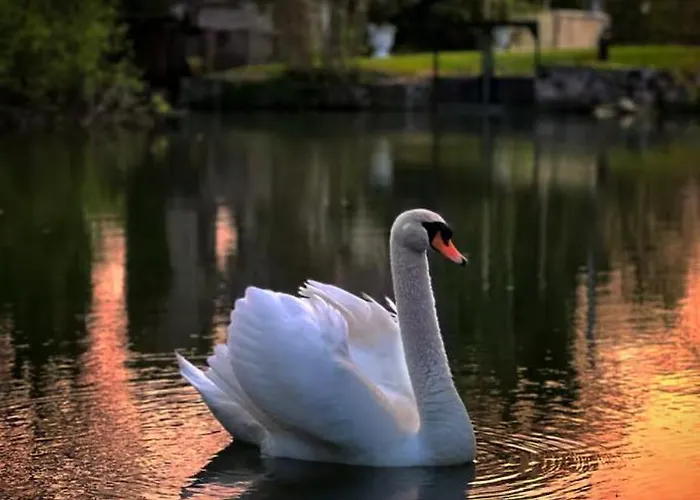 Le Moulin De Bed & Breakfast *
