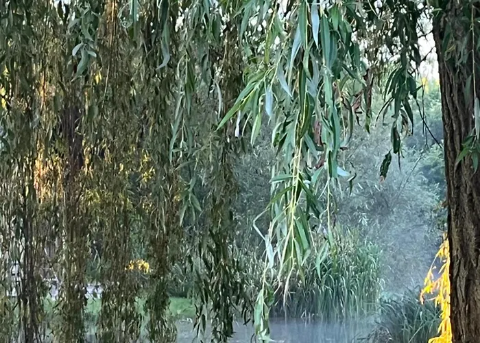 Le Moulin De * Saint-Just-Sauvage