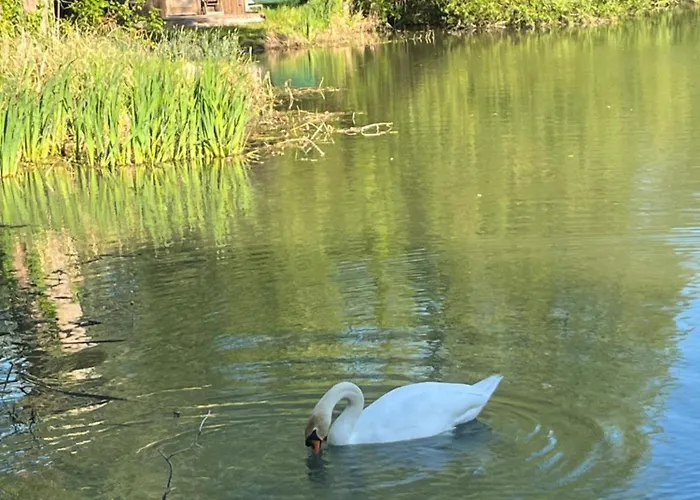 Le Moulin De Bed & Breakfast Saint-Just-Sauvage