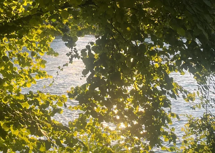 Le Moulin De Bed & Breakfast *